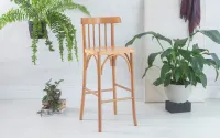 Image Thumbnail
