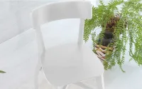 Image Thumbnail