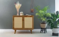 Image Thumbnail